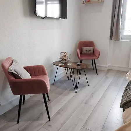 Le Petit Baigneur Hyper Centre Wifi Gratuit Apartment *